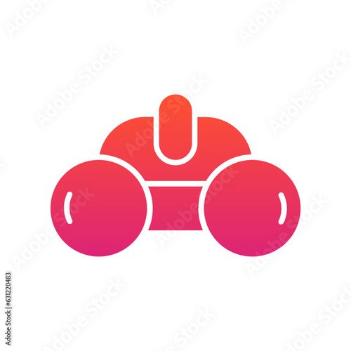 Binocular