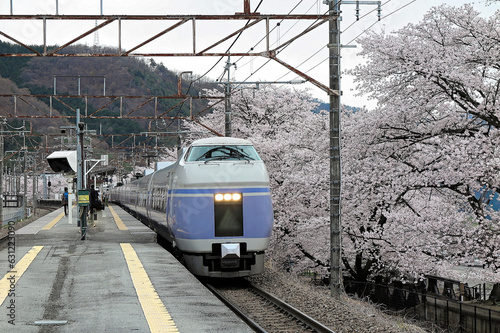 A fast train passing by the platform of a local station with sakura cherry blossom trees along the railway ~ Sunny spring scenery of sakura and railroad at JR Katsunuma Station in Yamanashi Japan