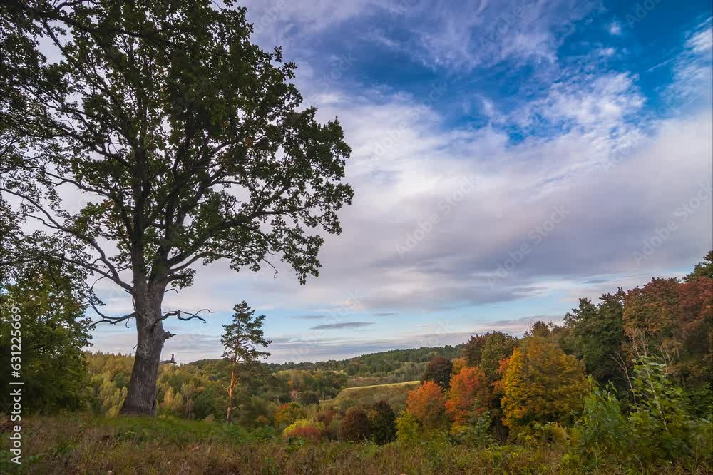 Time lapse of autumn landscape in the forest with colorful trees under running clouds Time lapse of autumn landscape in the forest with colorful trees under running clouds