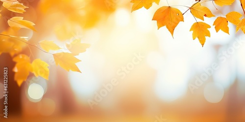 Defocused colorful bright autumn ultra wide panoramic background with blurry red yellow and orange autumn leaves in the park. Border of autumn leaves on a sunny day.