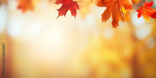 Defocused colorful bright autumn ultra wide panoramic background with blurry red yellow and orange autumn leaves in the park. Border of autumn leaves on a sunny day