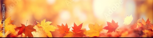 Defocused colorful bright autumn ultra wide panoramic background with blurry red yellow and orange autumn leaves in the park. Border of autumn leaves on a sunny day.