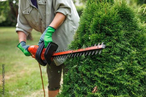 Woman gardener trimming overgrown bush by electric hedge trimmer photo