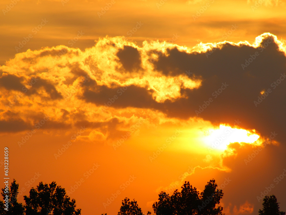 Fototapeta premium sunset in the field