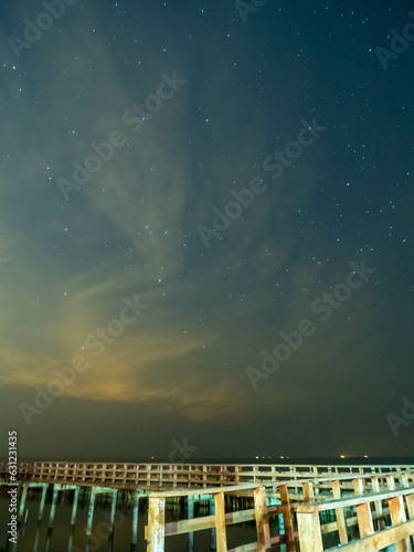 Sea view near mangrove forest with man made wooden barrier for wave protection, under starry nigh cloudy sky in Bangkok, Thailand