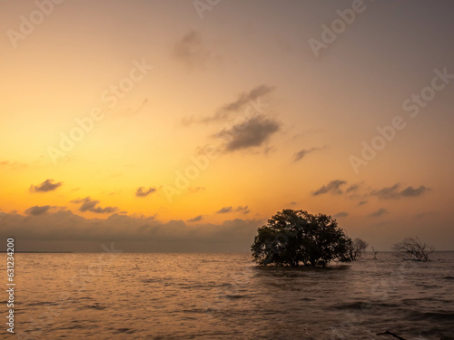 Sunrise twilight sky at sea beach with tree under sea water in morning Bangkok, Thailand