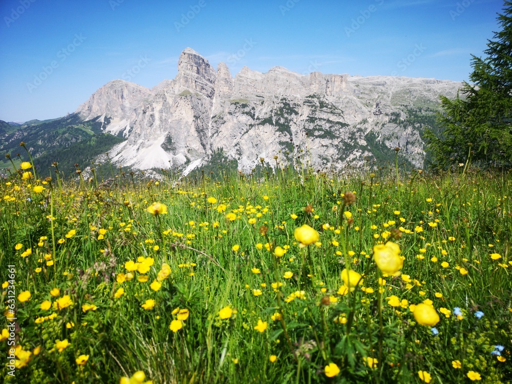 Südtirol Panorama. Mit Alta Badia, Seiser Alm, Corvara
