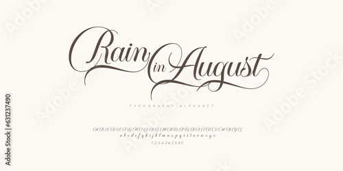 a script calligraphy font alphabet typography typeface handwritten wedding invitation greeting card