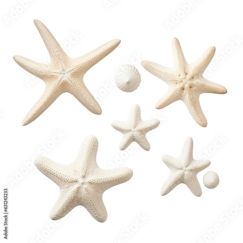 White starfish of different kinds separated by transparent backround, summer design with subtle shadows, top view