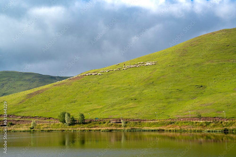beautiful nature background with sheeps in plateau
