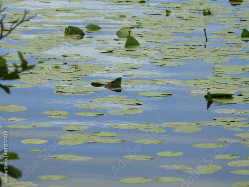 Vista parcial del Lac de Leon en Francia