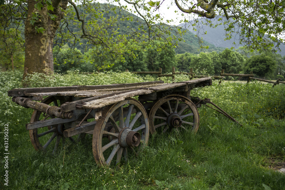 Nostalgic Serenity: Vintage Wooden Carriage Amidst Mountain Scenery