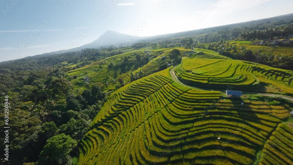 Belimbing rice terraces with FPV 4K drone at Bali Island, Indonesia. Fast manual close proximity aerial flight around green fields with volcano mountain view Belimbing rice terraces with FPV 4K drone at Bali Island, Indonesia. Fast manual close proximity aerial flight around green fields with volcano mountain view