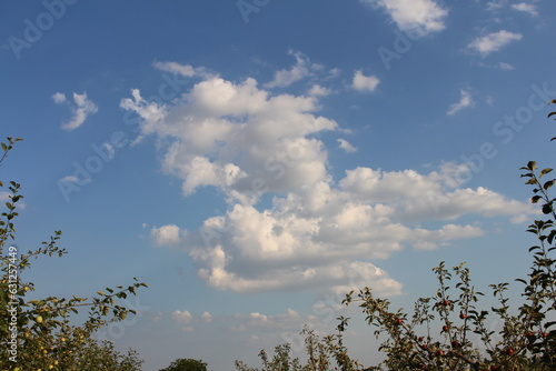 A blue sky with clouds