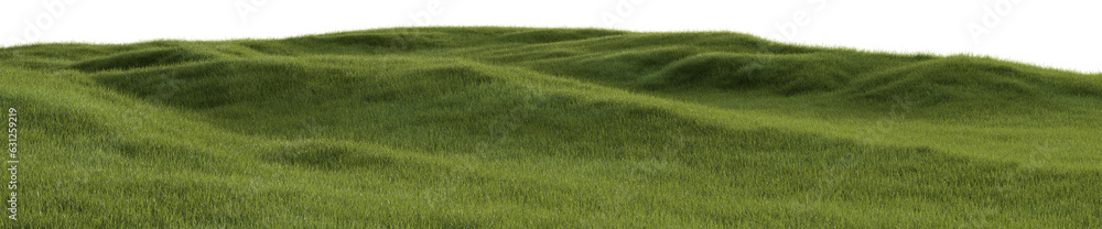 Grass field in rainy season with isolated on transparent background ...