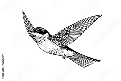 Ink sketch of flying swallow. Hand drawn engraving style vector illustration.