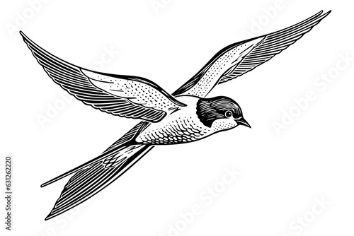 Ink sketch of flying swallow. Hand drawn engraving style vector illustration.