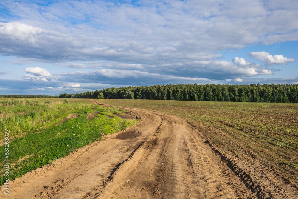 landscape of summer wildlife in the countryside landscape of summer wildlife in the countryside