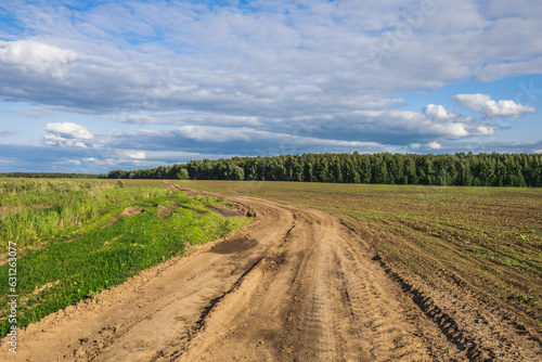 landscape of summer wildlife in the countryside