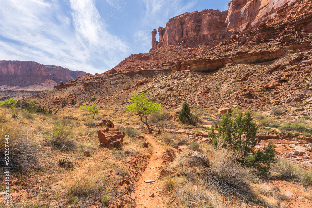 hiking the syncline loop trail in island in the sky district of canyonlands national park, utah, usa hiking the syncline loop trail in island in the sky district of canyonlands national park, utah, usa