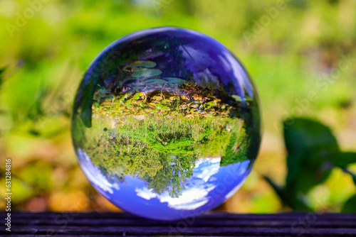glass globe on grass
