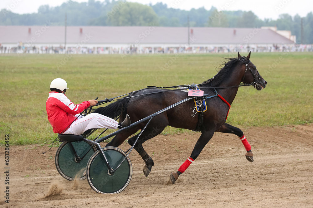 Horses and riders running at horse races Horses and riders running at horse races