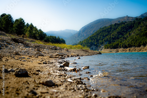 Summer day in lake - cactus near the lake