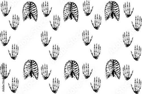 chest bones, hand bones