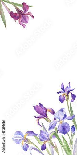 Watercolor illustration of the iris flowers  vertical greeting card template for the invitations  wedding decor  greeting cards. Corner decorative elements would fit any card size