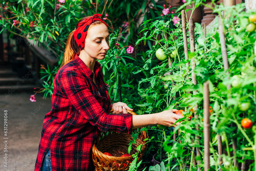 A girl in a red bandana and shirt is harvesting in the garden and vegetable garden