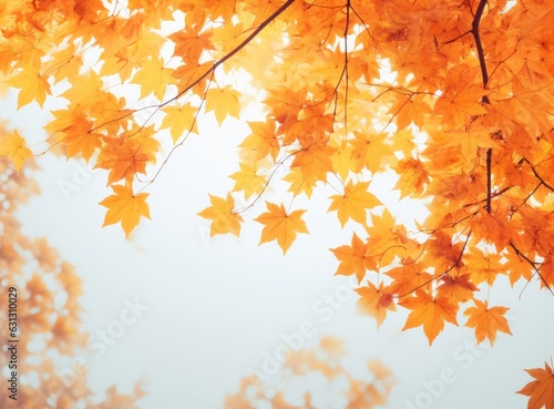 Orange Autumn leaves background