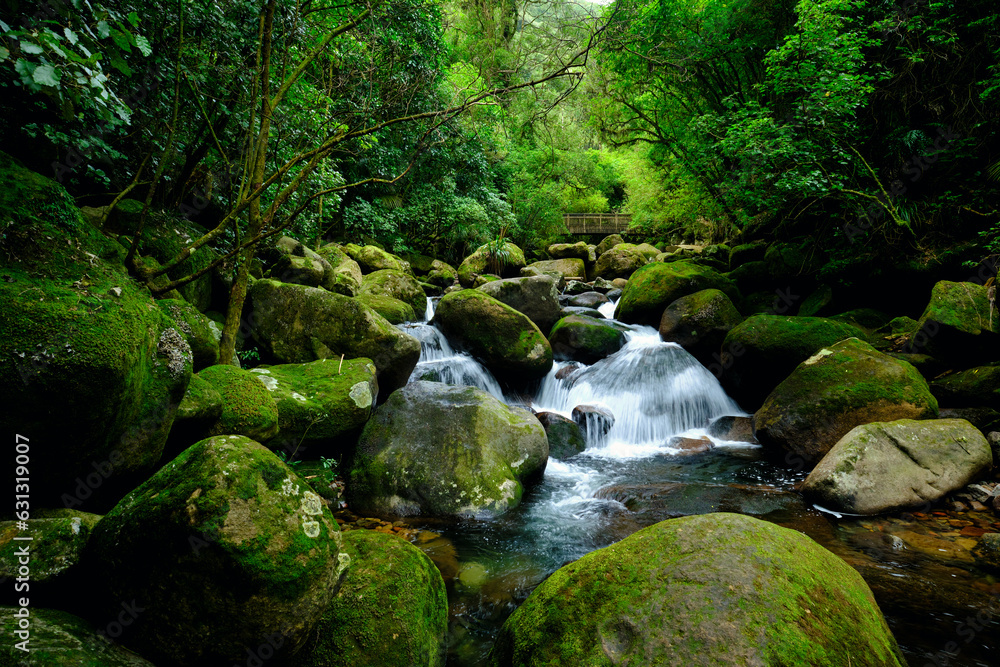 Creek below Wairere Falls, New Zealand. 