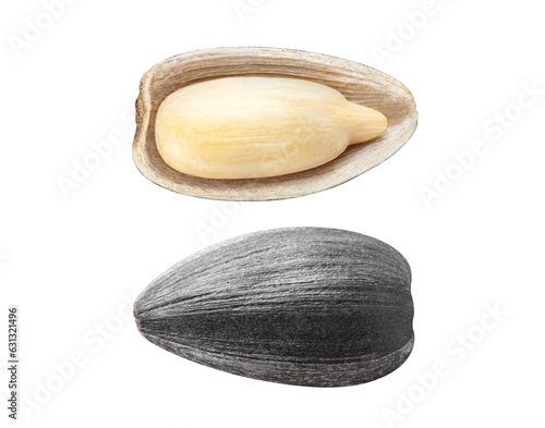 Set of delicious black sunflower seeds, cut out