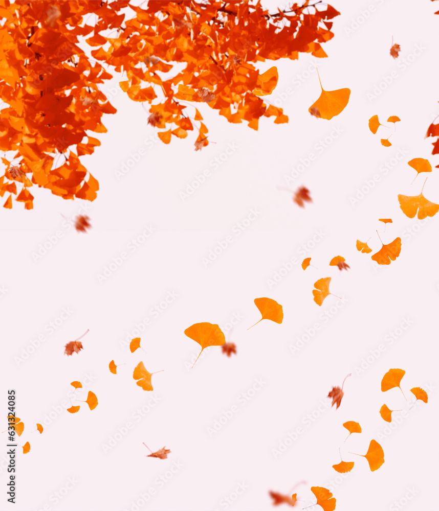 autumn leaves background autumn leaves background