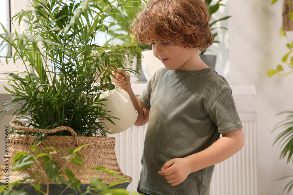 Cute little boy watering beautiful green plant at home. House decor Cute little boy watering beautiful green plant at home. House decor