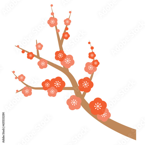 梅の花