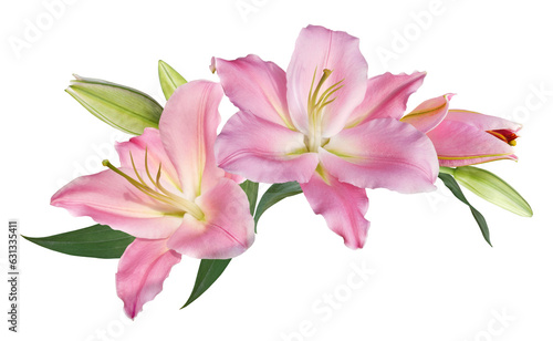 Pink lily flower bouquet isolated on transparent background