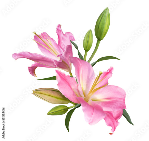 Pink lily flower bouquet isolated on transparent background