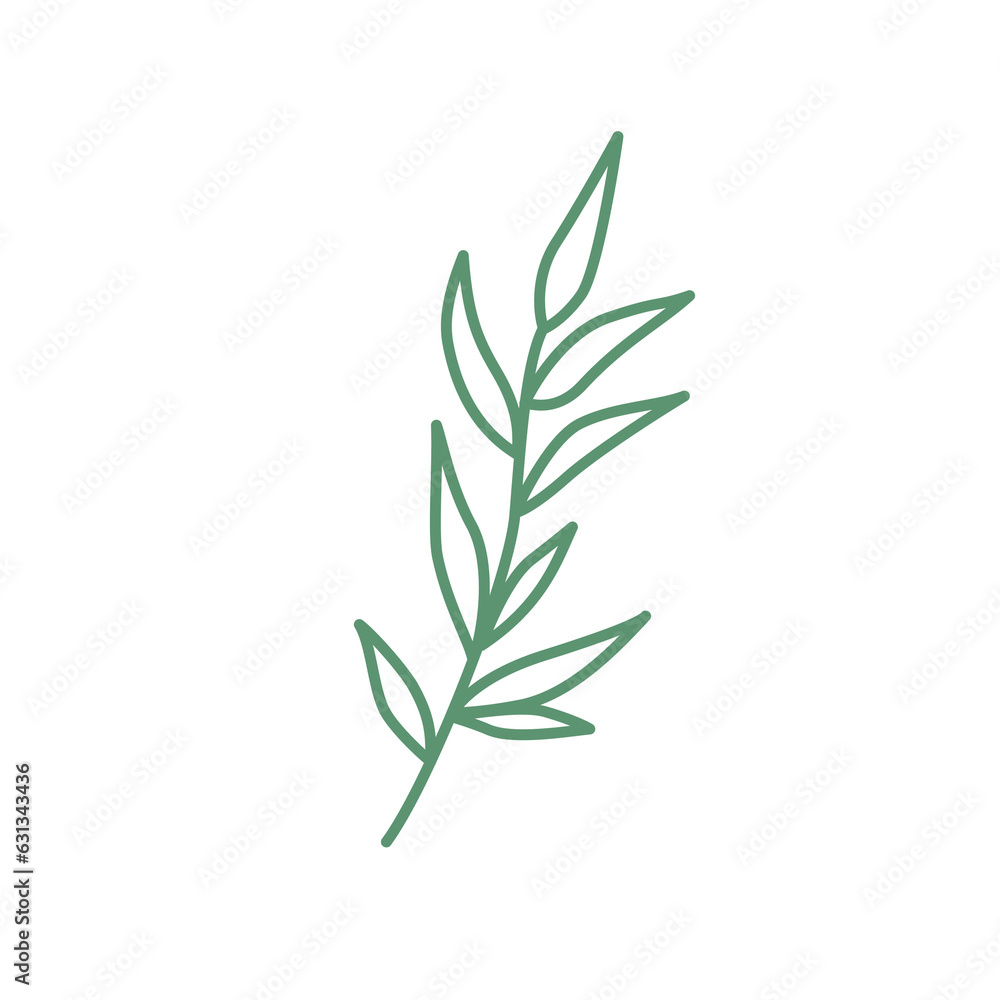 Plant Leaf Ornament | Leaf Line Art | Leaf Element | Leaf Clip Art | Leaves PNG Without Background | Branch With Leaves