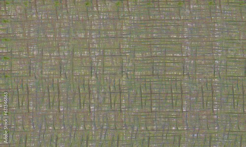 kawakawa230715
