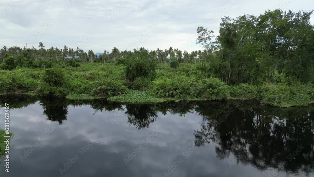 Serene dark river surrounded by lush greenery Serene dark river surrounded by lush greenery