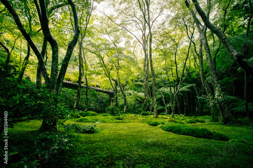 京都 夏の祇王寺を染める苔の緑と美しい和風の庭園