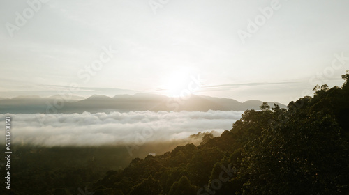  Sunrise of the mountain with the sea of clouds near the rainforest jungle.