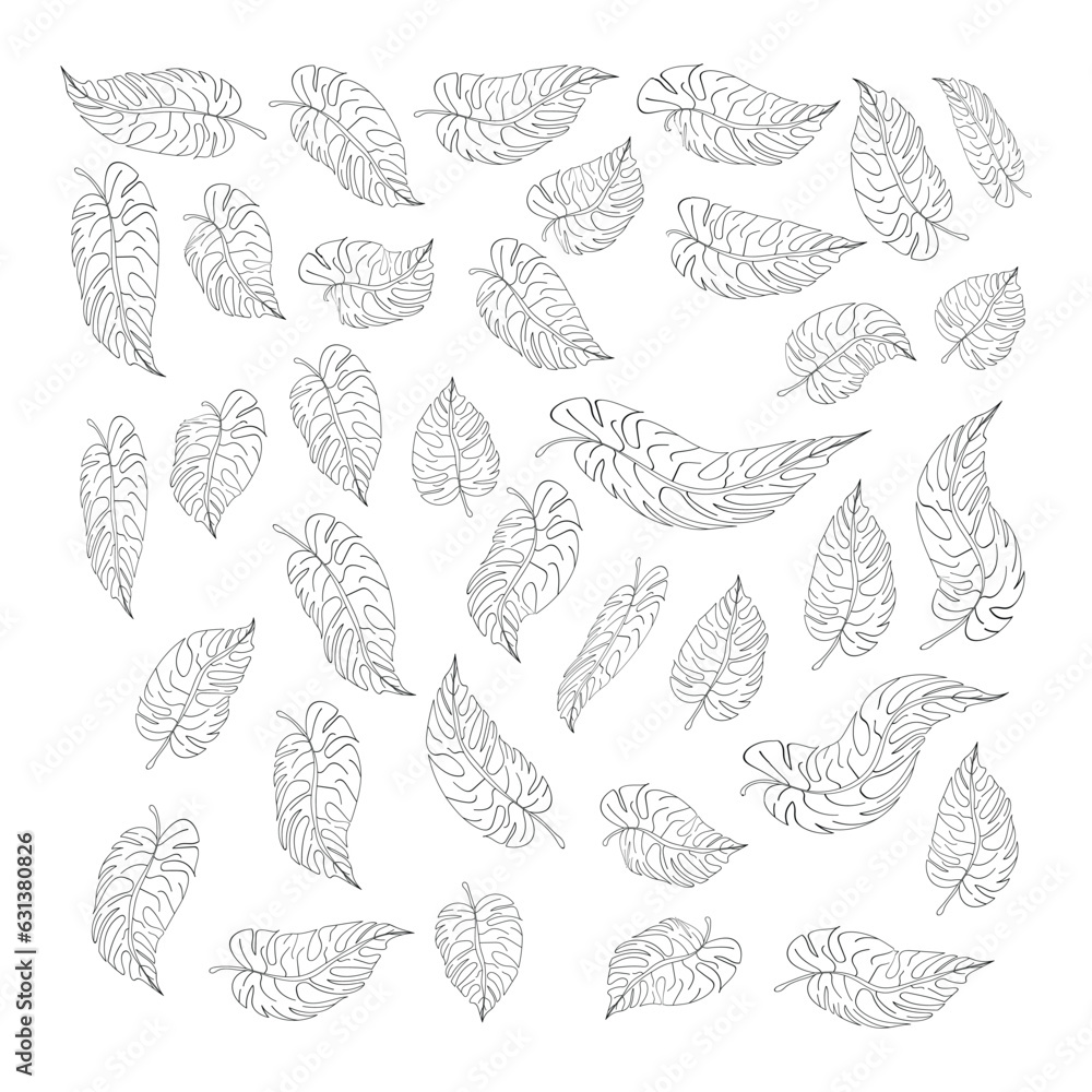 Black leaves Line art vector collection. Leaf outline illustration. Hand drawn decorative elements. Set of leaves. Botanical elements design Black leaves Line art vector collection. Leaf outline illustration. Hand drawn decorative elements. Set of leaves. Botanical elements design