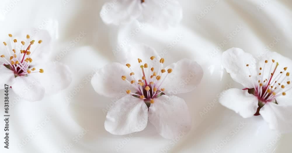 White cream texture with cherry flowers, close-up beauty facial cosmetics mask White cream texture with cherry flowers, close-up beauty facial cosmetics mask