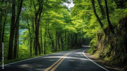 The paved road in the forest presents a beautiful natural