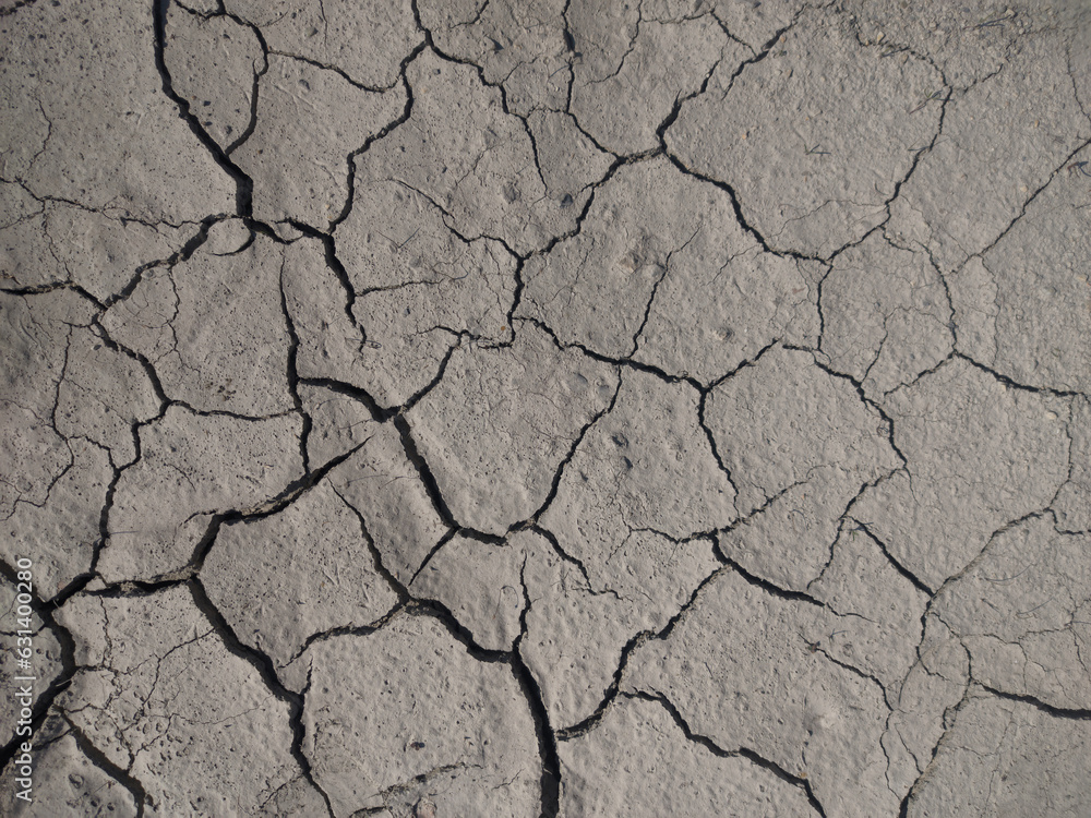 Dry cracked earth. Gray background with cracks. Dry cracked earth. Gray background with cracks.