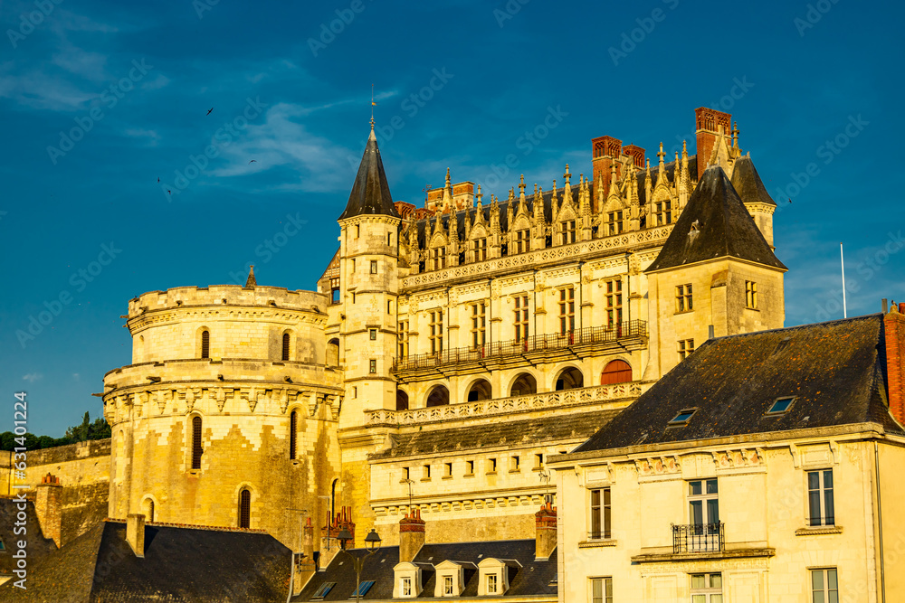 Sommerliche Entdeckungstour im wunderschönen Seine Tal am Schloss Amboise - Indre-et-Loire - Frankreich