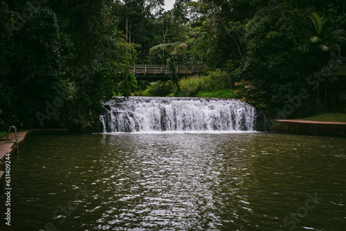 Fototapeta Naklejka Na Ścianę i Meble -  waterfall in the rainforest