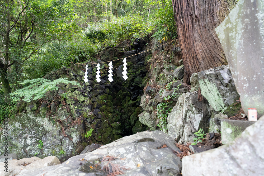Obraz premium 高尾山の風景